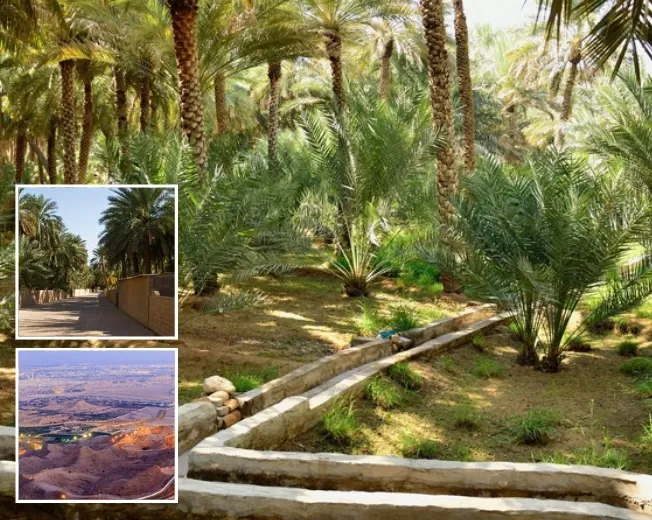 Al Ain Oasis & Jebel Hafeet Tour